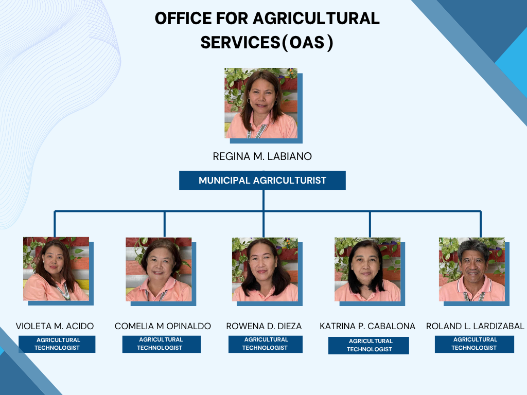 Organizational Structure 1